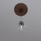 Ekena Millwork Baltimore PVC Medallion (Canopies up to 7 3/4"), 19"OD x 3 1/2"ID x 1"P, Metallic Rust CMP19BADRU - alternate 10